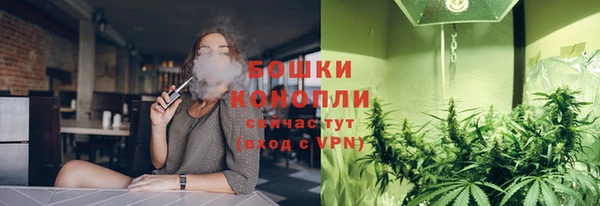 прущие грибы Лагань