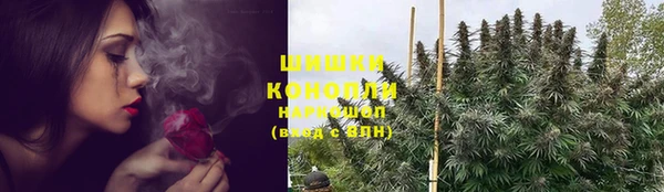 соль ск Лиски