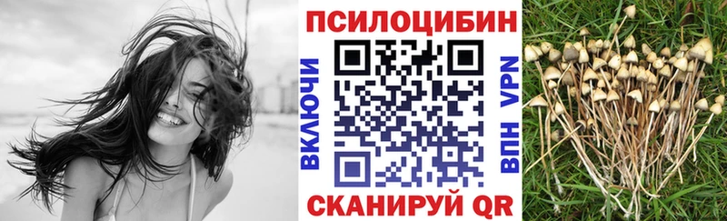 Псилоцибиновые грибы прущие грибы  Никольское 